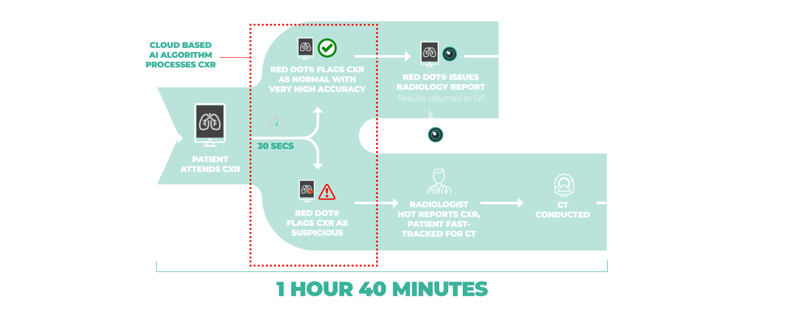 Behold AI Red Dot Infrastructure workflow diagram showing integration with hospital systems